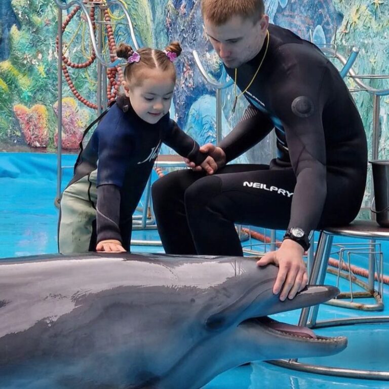 🐬 ЭКСКУРСИЯ «ДЕЛЬФИНАРИЙ В АЛУШТЕ» ИЗ ЯЛТЫ