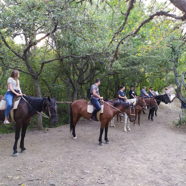 🐴 ЭКСКУРСИЯ «НА ЛОШАДЯХ В УЩЕЛЬЕ УЧ КОШ» ИЗ ЯЛТЫ
