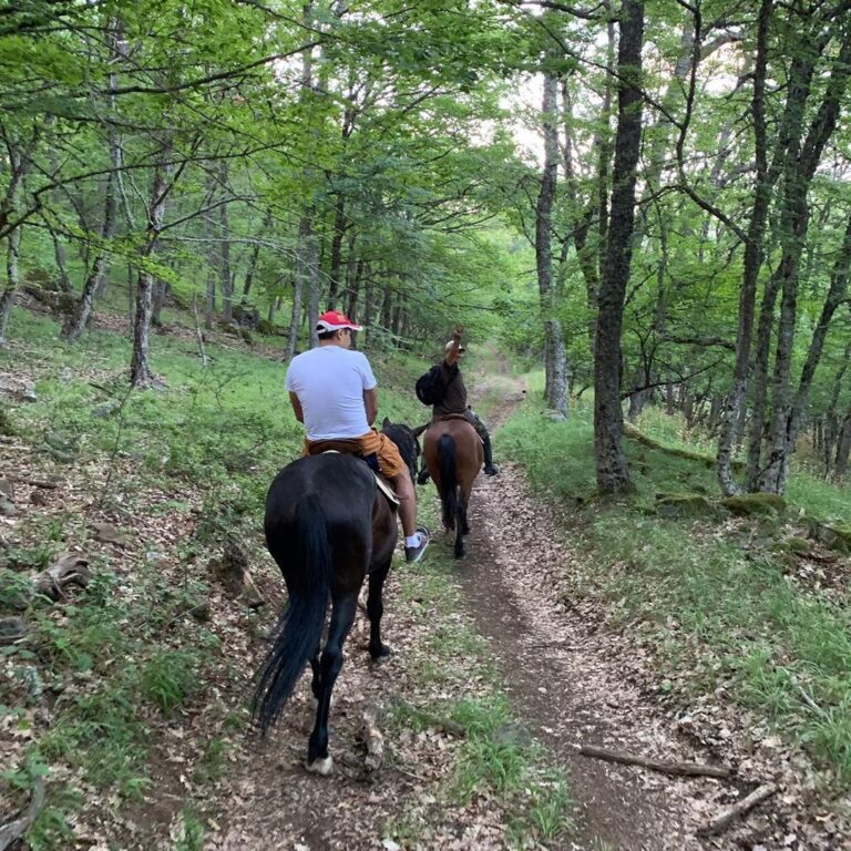 🐴 ЭКСКУРСИЯ «НА ЛОШАДЯХ В УЩЕЛЬЕ УЧ КОШ» ИЗ ЯЛТЫ
