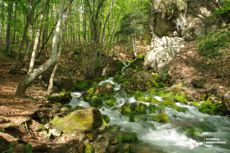 Ай-Петри — Большой каньон Крыма (Индивидуальная экскурсия)