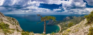 🏇 Конные прогулки в Крыму: как увидеть горы и море с седла