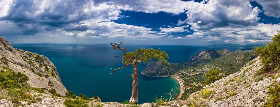 🏇 Конные прогулки в Крыму: как увидеть горы и море с седла