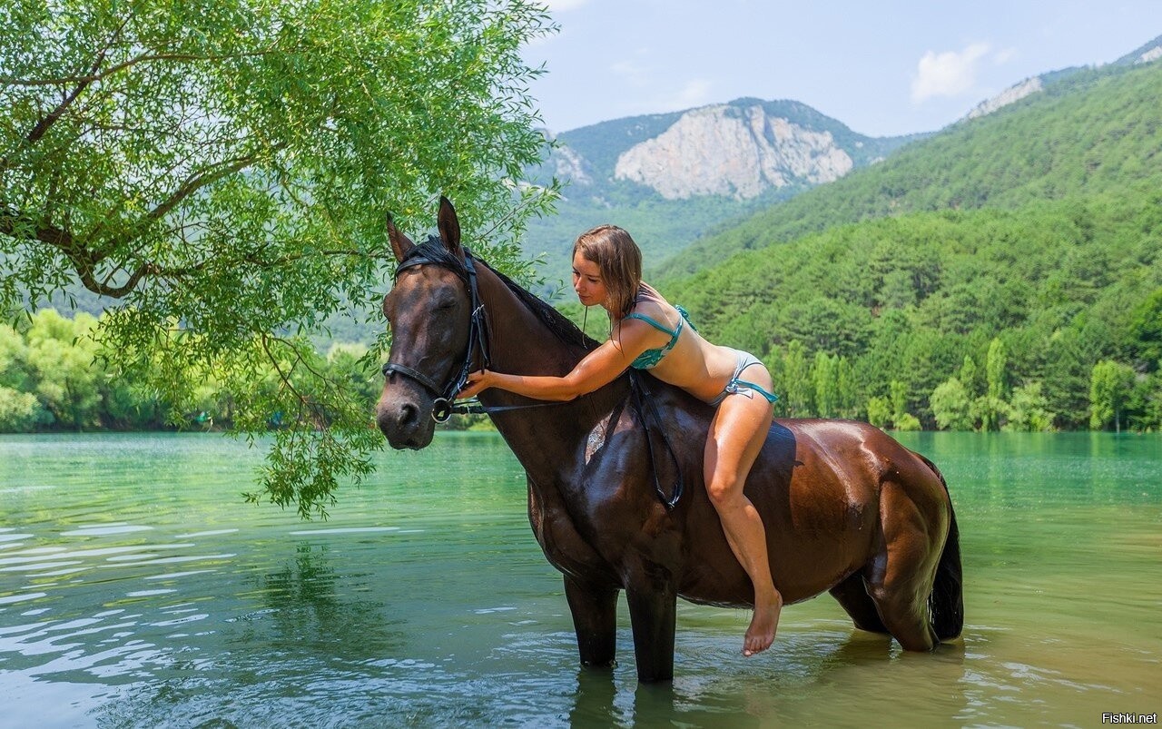 🐎 КОННАЯ ПРОГУЛКА В ЯЛТЕ: ЛОШАДИ, ГОРЫ И ЗАКАТ. ТЫ И ГРИВА.