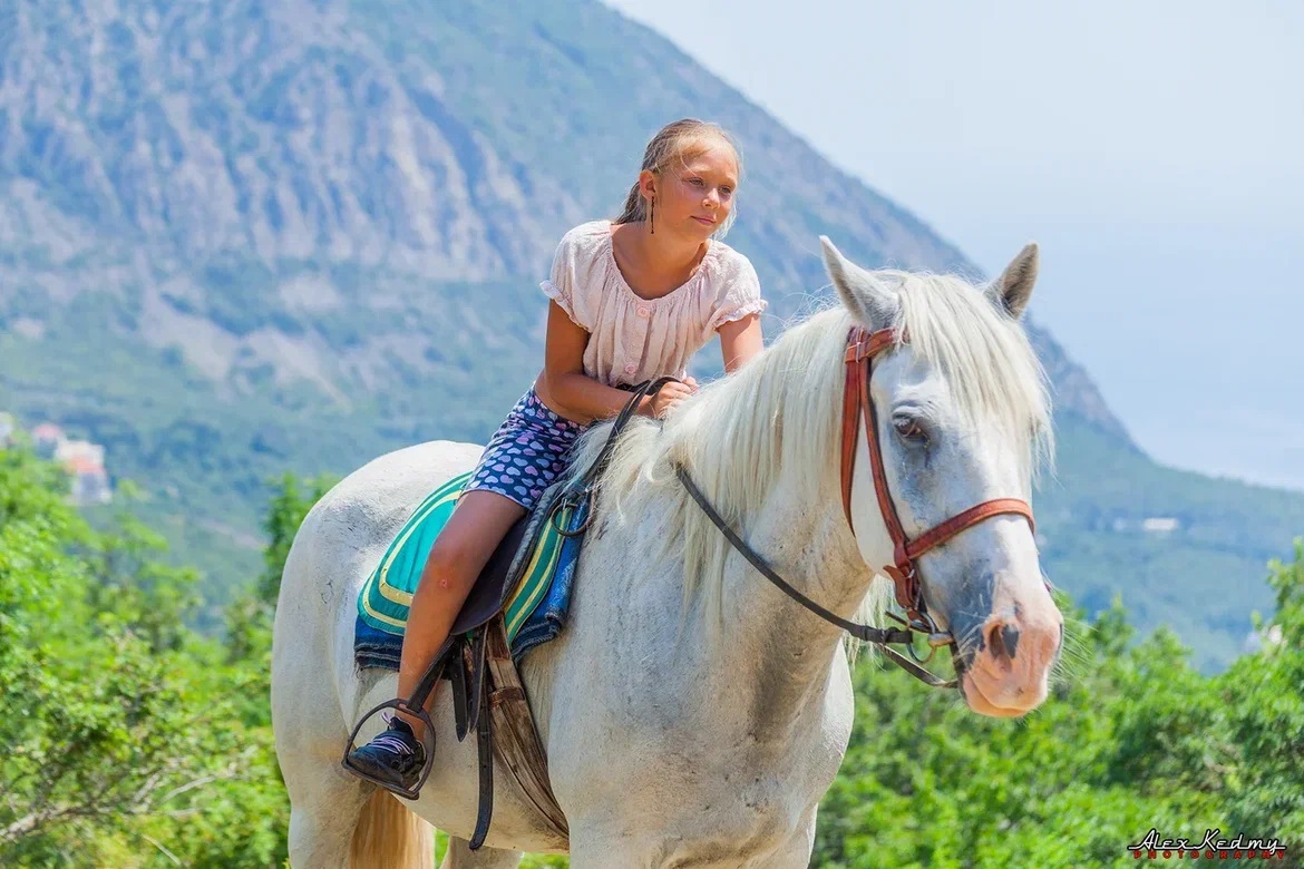 🐎 КОННАЯ ПРОГУЛКА В ЯЛТЕ: ЛОШАДИ, ГОРЫ И ЗАКАТ. ТЫ И ГРИВА.