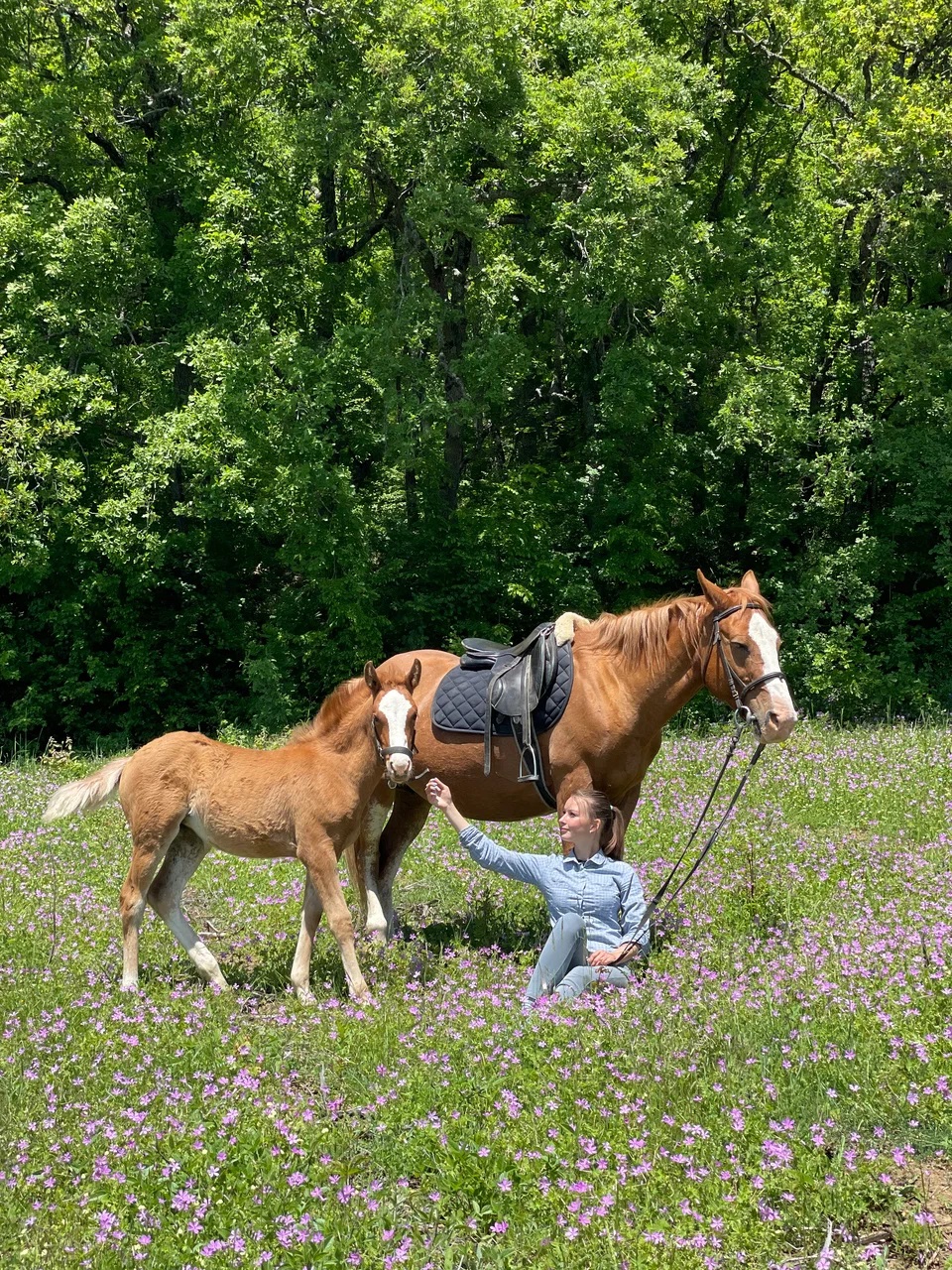 🐎 КОННАЯ ПРОГУЛКА В ЯЛТЕ: ЛОШАДИ, ГОРЫ И ЗАКАТ. ТЫ И ГРИВА.