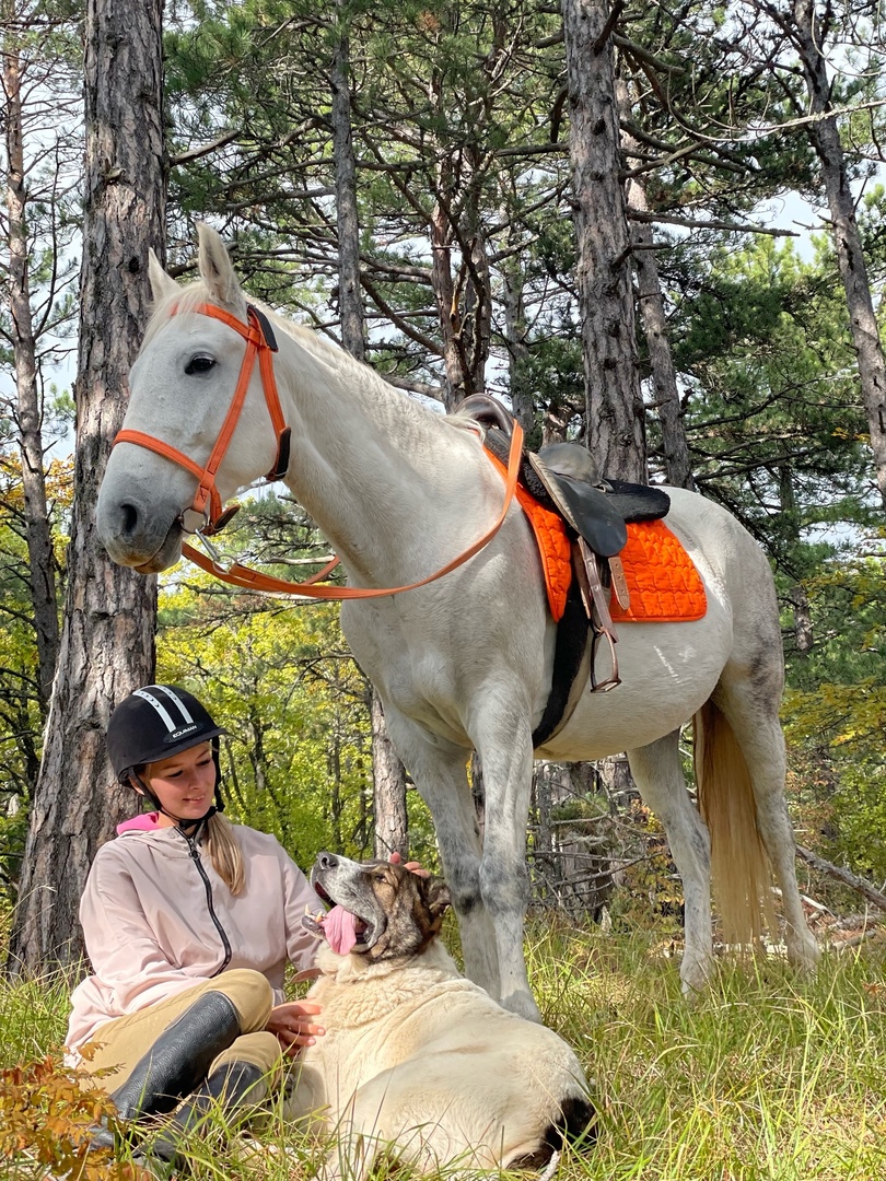 🐎 КОННАЯ ПРОГУЛКА В ЯЛТЕ: ЛОШАДИ, ГОРЫ И ЗАКАТ. ТЫ И ГРИВА.